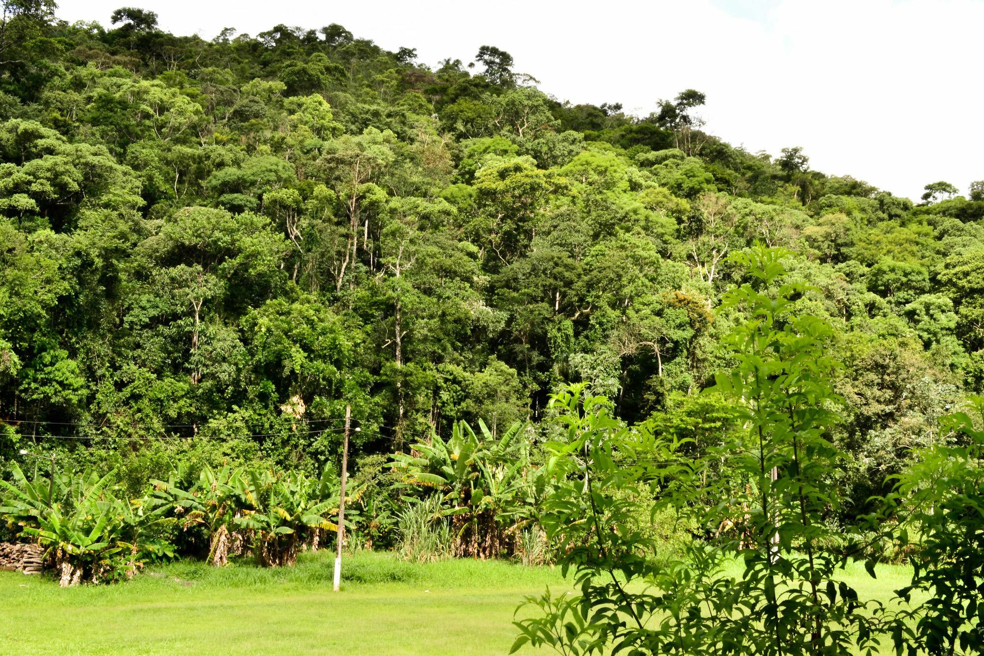 Vale Verde Penedo Hotel Экстерьер фото